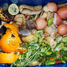 Food Waste