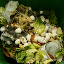 Vegetable Waste