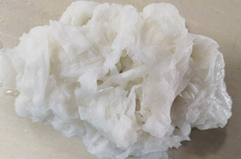 Paper Pulp