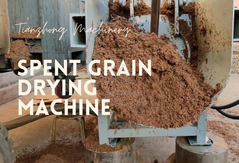 how to dry spent grain