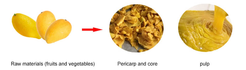 How to extract mango pulp