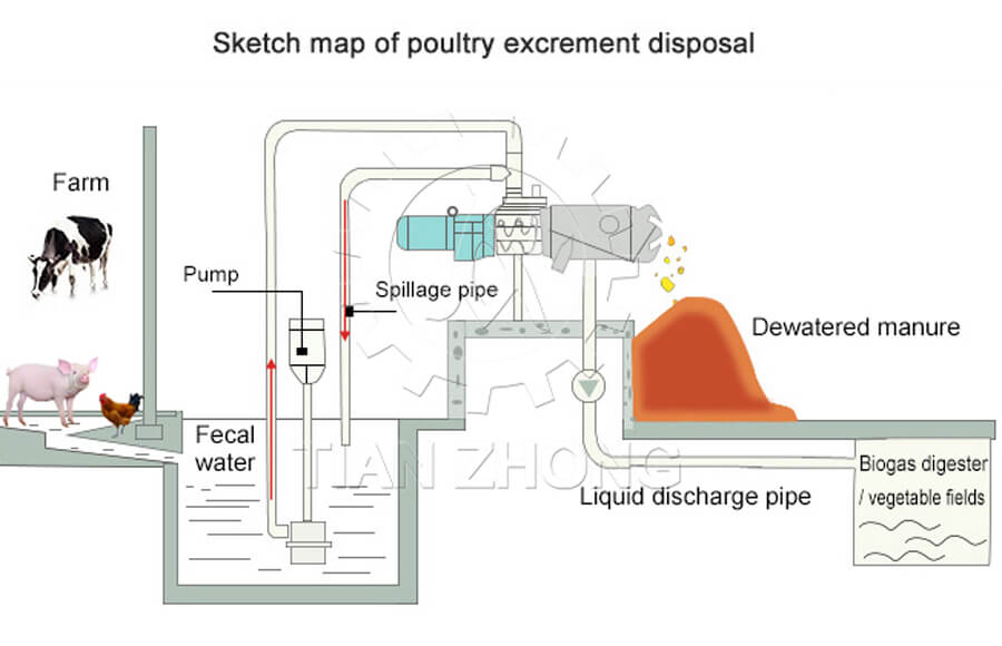 manure dewatering system